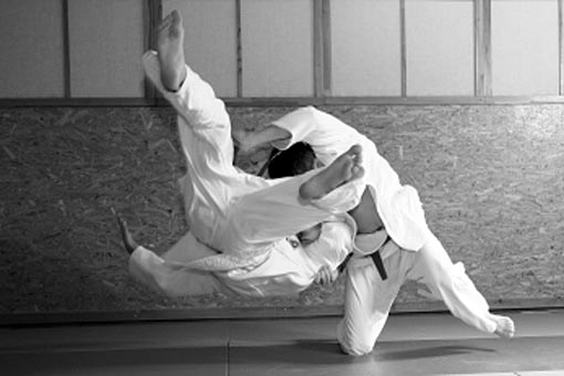 Judo, lutte