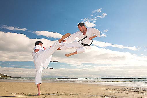 Karaté, kung-fu, taekwondo