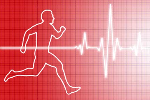 Sport  : prévenir les accidents cardiovasculaires