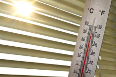 Médicaments et vague de chaleur