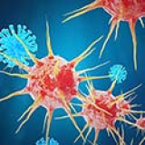 Le vaccin contre l’hépatite A