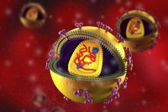 Infection par le VIH/sida