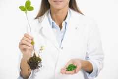 Les produits de phytothérapie sont-ils efficaces ?