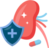 NéphroProtection : dossier thématique