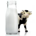 allergie au lait de vache