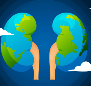 Warnings NephroTOX 2023